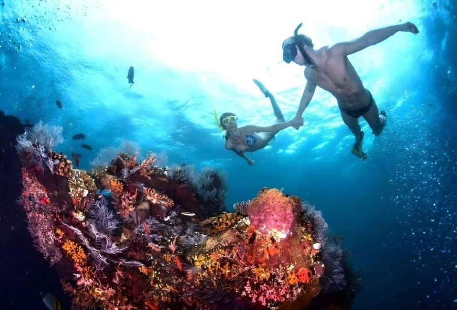 Bali: Blue Lagoon Snorkeling With Lunch & Transport