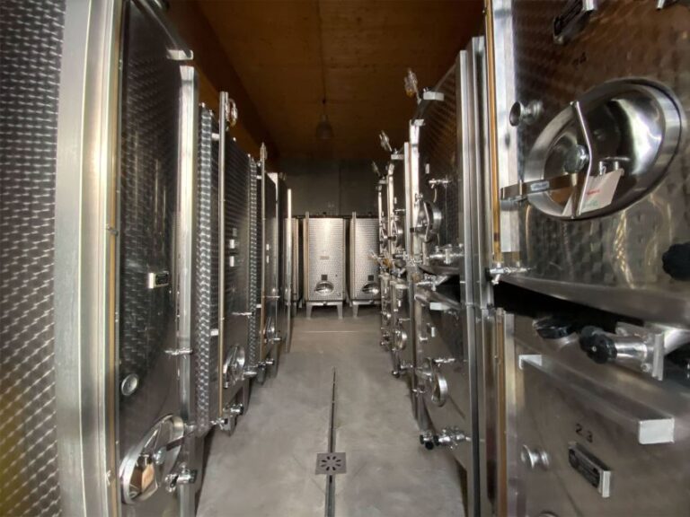 Cellar Visit and Alsace Wine Tasting With a Feminine Touch