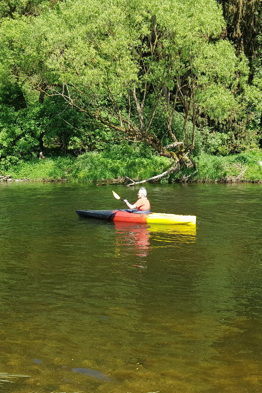 From Viechtach: Regen River Canoe Tour to Höllenstein Lake