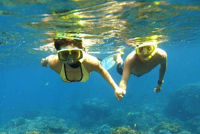 2 Best Guided Tours In Port Ghalib