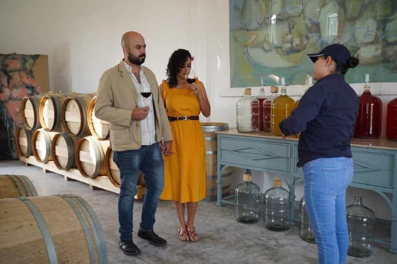 Guided Tour and Tasting of 4 Wines at Viñedo Dos Búhos
