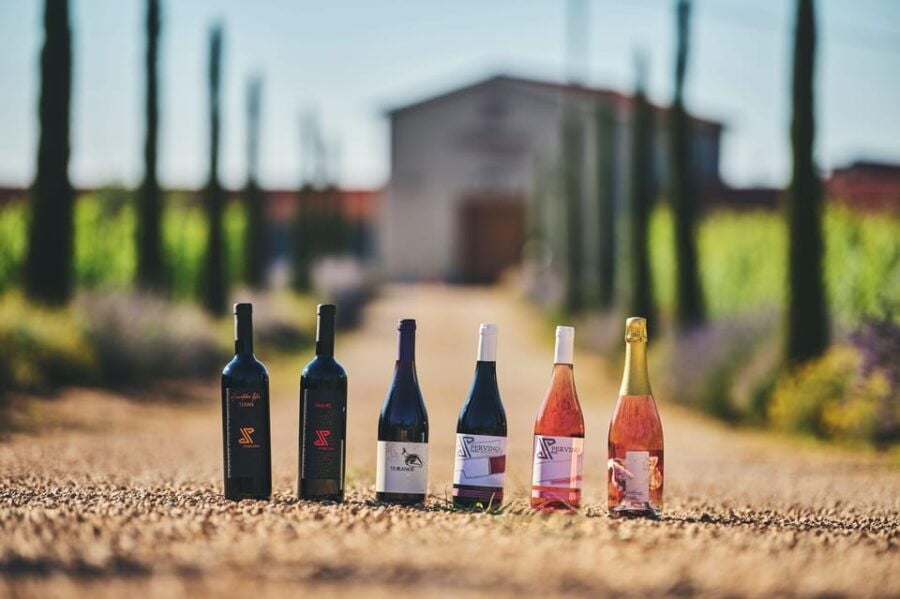 Istria: Pervino Wine Tasting