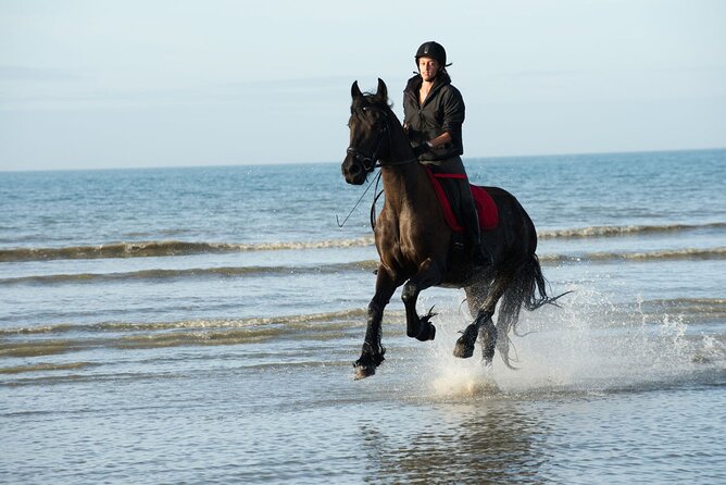 Marsa Alam Sea and Desert Horseback Riding