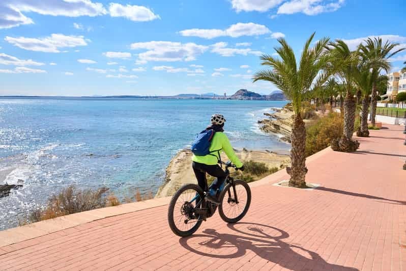 Puerto Vallarta: Half Day Taco and Ebike Tour