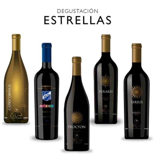 Valle De Guadalupe: Vineyard Tour and Wine Tasting in Cart