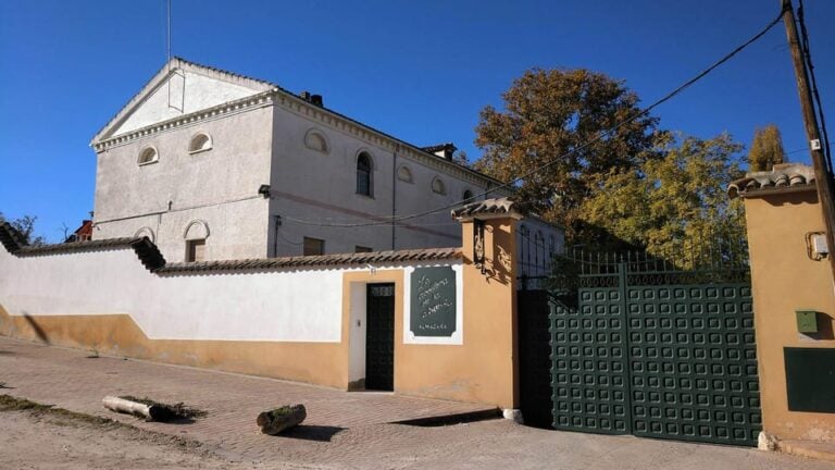 Visit to an Olive Oil Mill and Oil Tasting With Aperitif and Food and Wine Pairing.