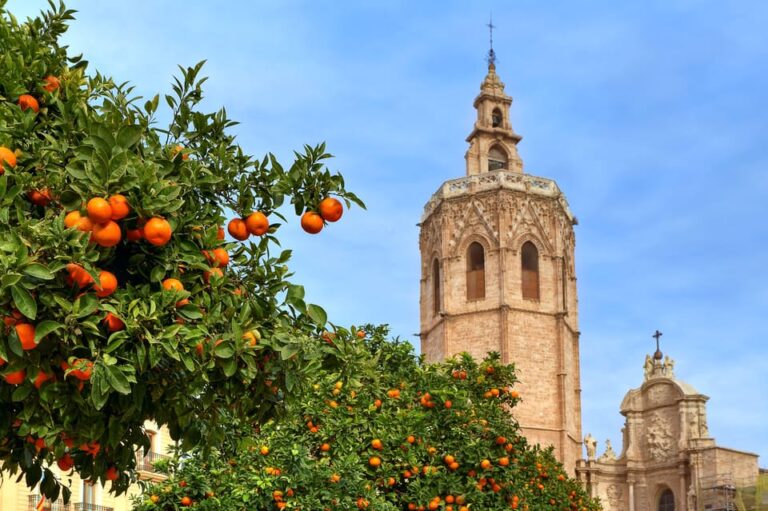 Walking Tour Through Valencias Historic Centre