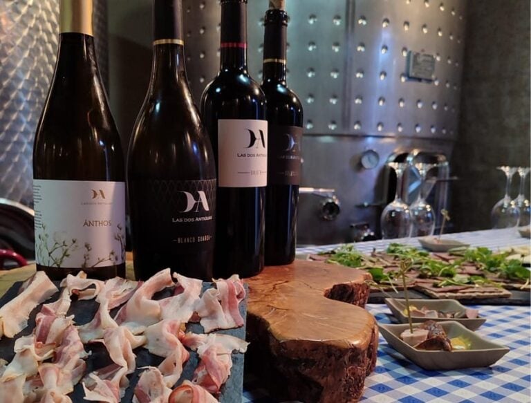 Wine and Food Pairing Tasting The Two Old Ones – Artisan Winery Segovia