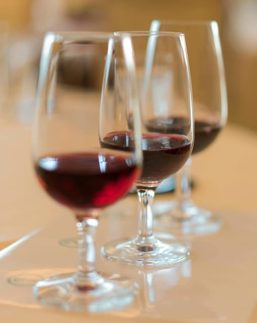 Wine and Oil Tasting in Madrid: Spains Best Wines and Tapas