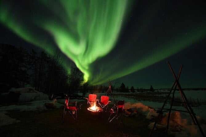 5 Best Guided Tours In Yellowknife