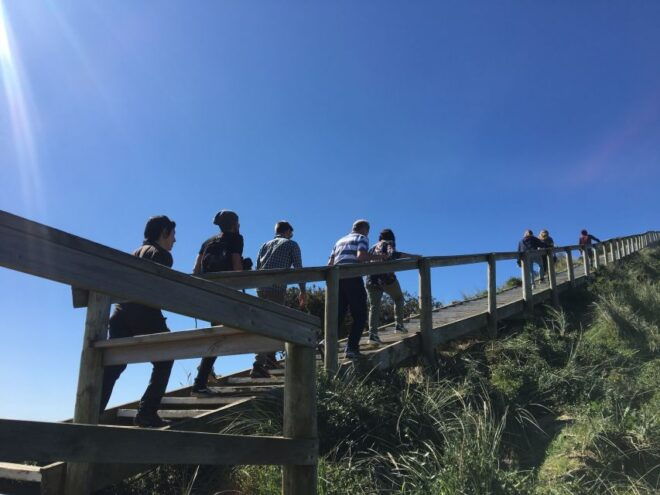 Bruny Island Day Trip From Hobart - Discover Walking Trails and Wildlife
