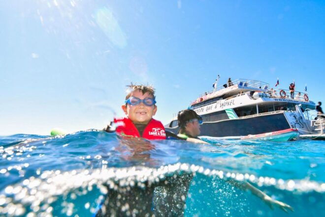 From Cairns: Great Barrier Reef Snorkeling Experience - Snorkeling Highlights