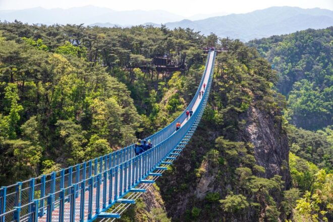 Seoul: Alpaca World, Museum SAN & Luge or Suspension Bridge - Highlights of the Experience