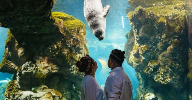 Genoa: Aquarium of Genoa Timeslot Entry Ticket - Select Participants and Date