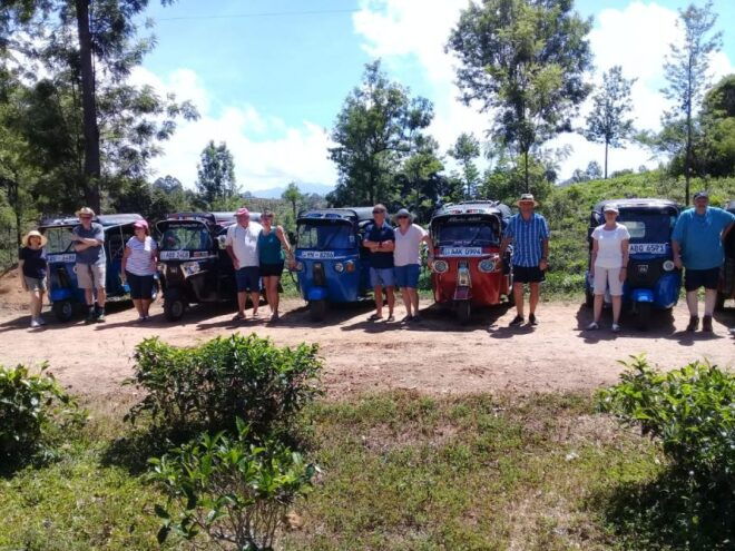 Ella: Tuk-Tuk Safari Day Trip and Tea Fields Hike With Lunch - Location