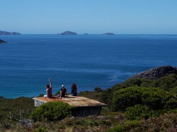 Bruny Island Day Trip From Hobart - The Sum Up