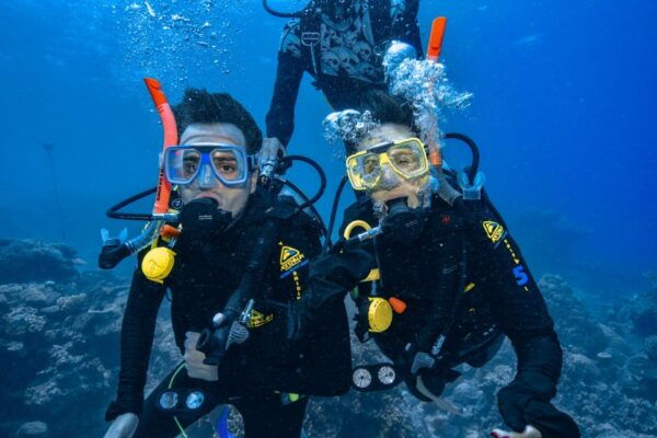 From Cairns: Great Barrier Reef Snorkeling Experience - Water Activities at Two Reef Sites