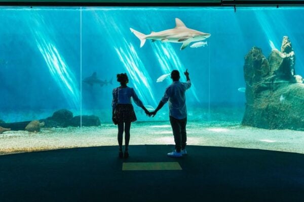 Genoa: Aquarium of Genoa Timeslot Entry Ticket - The Sum Up