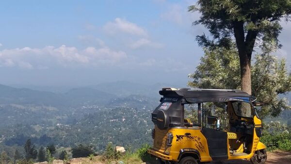 Ella: Tuk-Tuk Safari Day Trip and Tea Fields Hike With Lunch - Common Questions