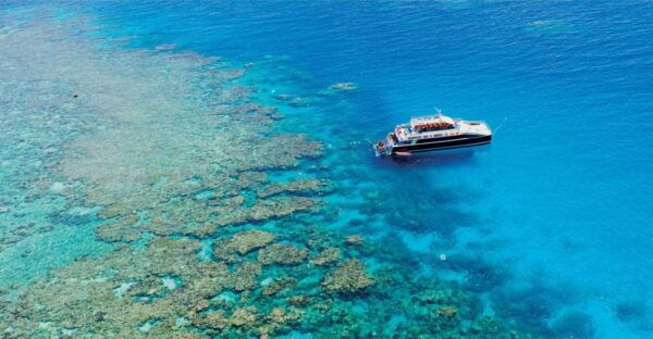 From Cairns: Great Barrier Reef Snorkeling Experience - Common Questions