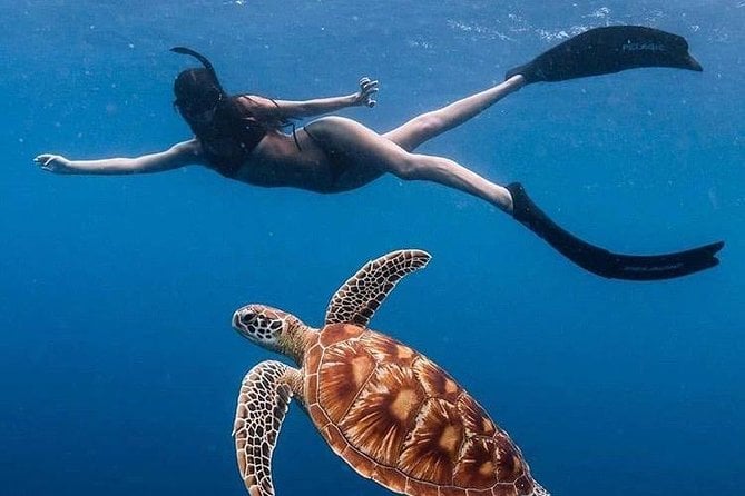 25 Best Snorkeling Experiences In Ubud