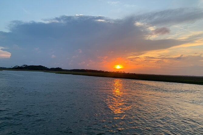 5 Best Dolphin Watching Tours In Folly Beach