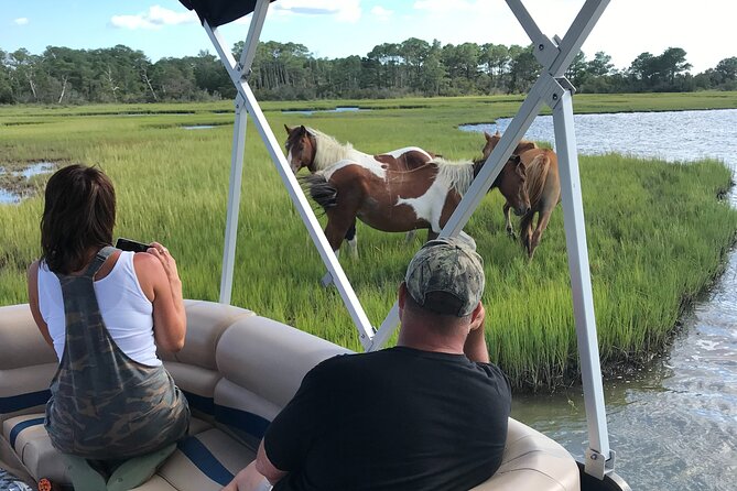 9 Best Boat Tours And Cruises In Virginia