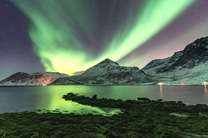 6 Best Fishing Tours In Tromso