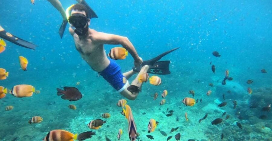 4 Best Snorkeling Experiences In Lembongan