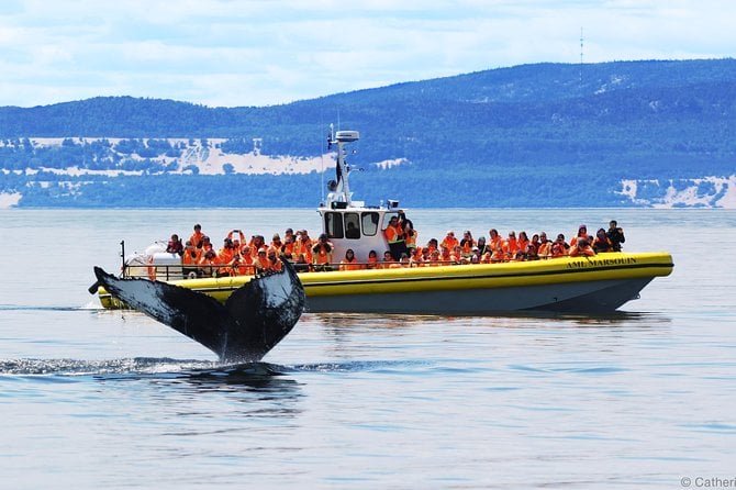 11 Best Boat Tours And Cruises In Quebec City
