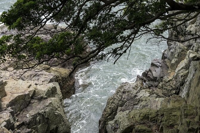 Fun&Informative LIVE Virtual Tour in Jeollanam-Do Province of Korea(Yeosu City)