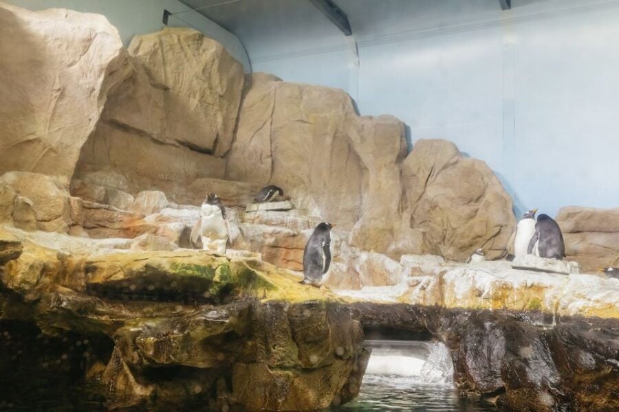 Genoa: Aquarium of Genoa Timeslot Entry Ticket
