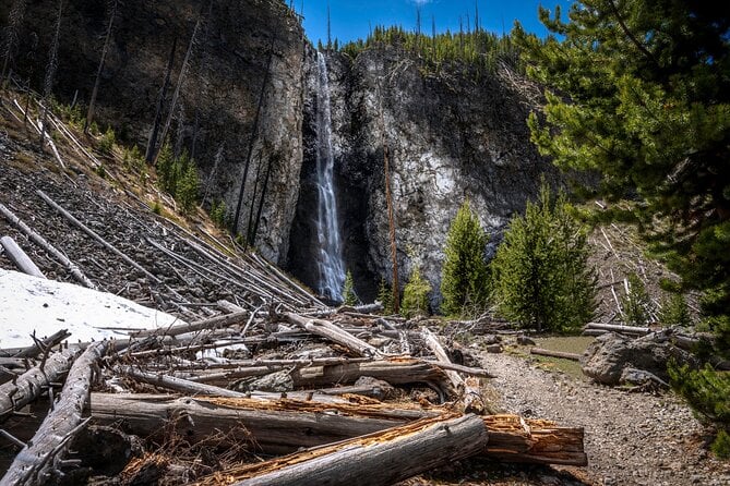 5 Best Guided Tours In Yellowstone National Park