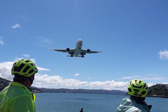 7 Best Guided Tours In Wellington