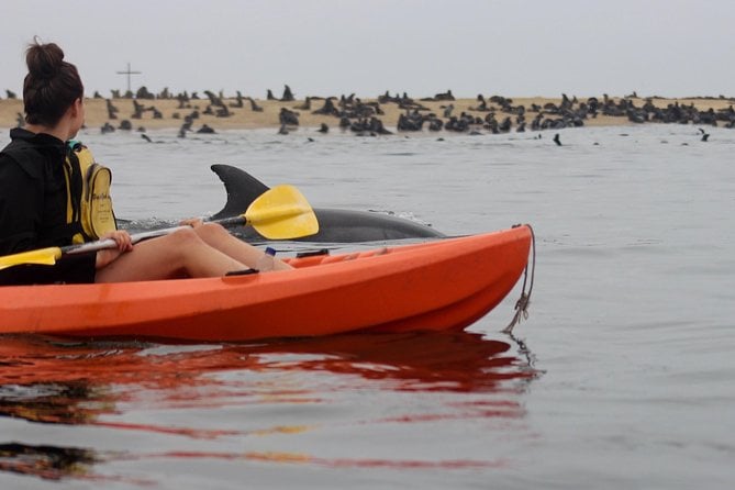 15 Best Guided Tours In Walvis Bay