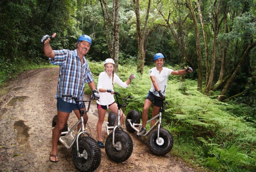 Knysna: Downhill Forest Scootour Adventure