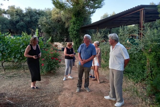3 Best Wine Tours In Taranto