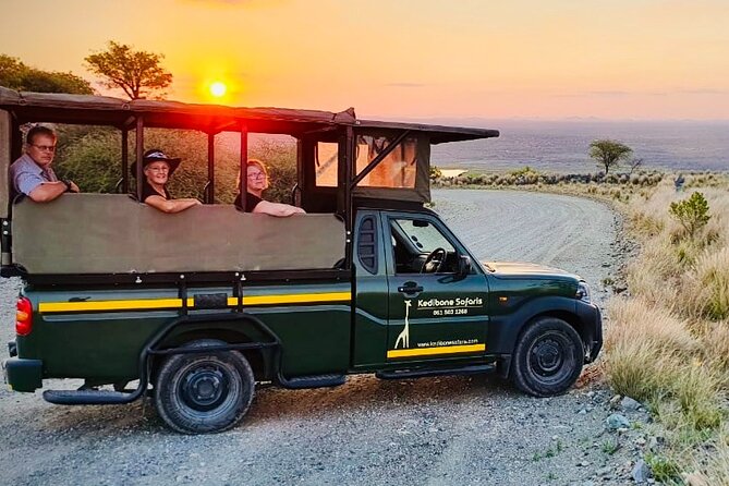 20 Best Safari Tours In South Africa