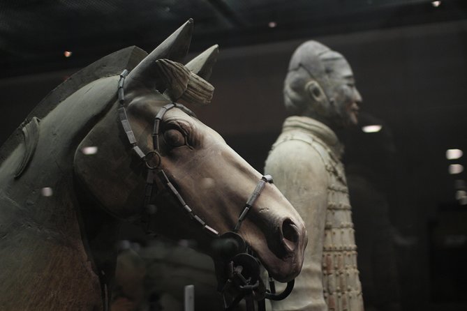 20 Best 2 Day Tours In Xian