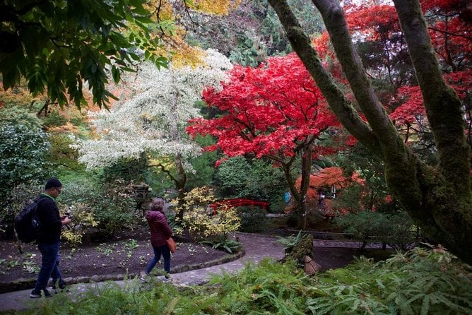 3 Best City Tours In Vancouver Island