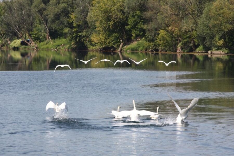 3 Best Boat Tours And Cruises In Zagreb