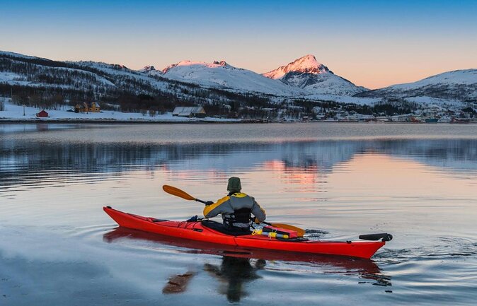 10 Best Safari Tours In Tromso
