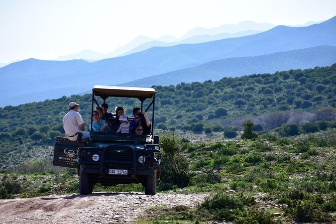 8 Best Safari Tours In Western Cape