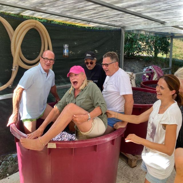 Tasting in a Tuscan Vineyard With Transfer From Pisa - Good To Know
