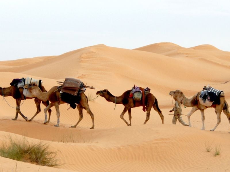 Tunisia Sahara()