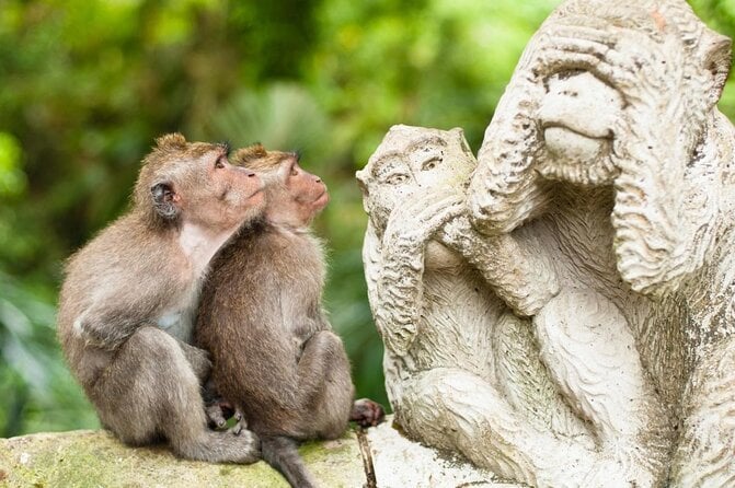 25 Best Guided Tours In Ubud