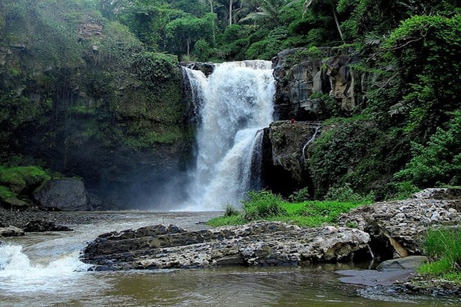 25 Best Tours In Ubud