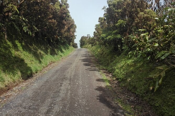 11 Best Walking Tours In Ponta Delgada