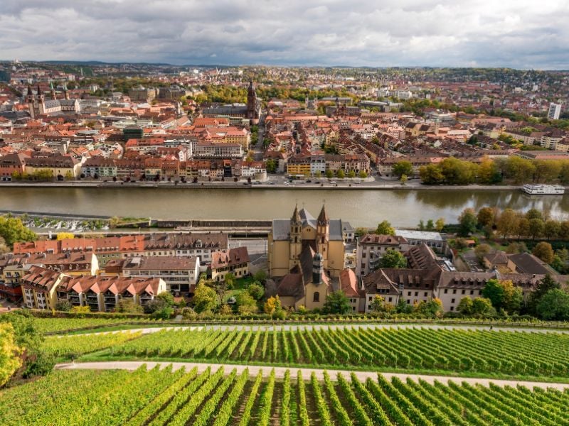 Würzburg wine(1)