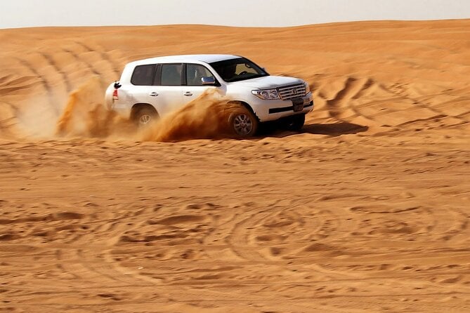 9 Best Safari Tours In United Arab Emirates